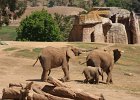 Day 7 - Safari Park